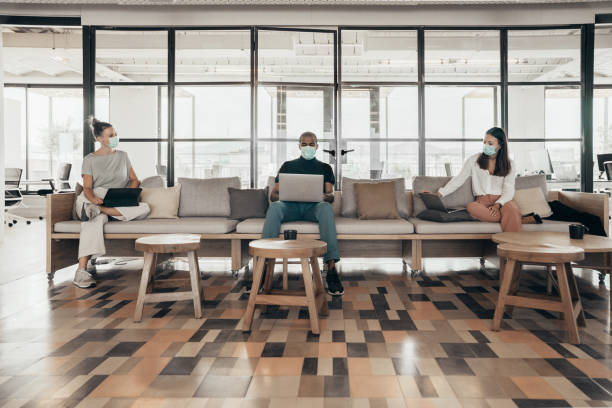 affärsmän som arbetar och upprätthåller socialt avstånd på en soffa i ett modernt kontor - plats för arbete bildbanksfoton och bilder