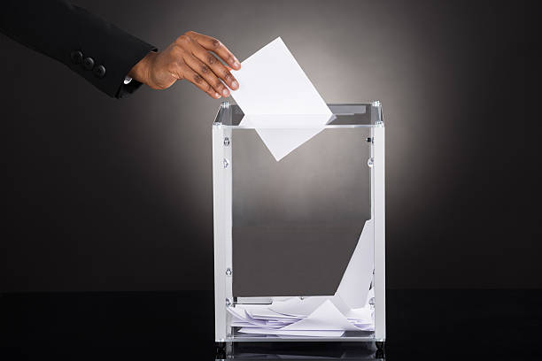 Businessperson Hand Inserting Ballot In Box Close-up Of A Businessperson Hand Inserting Ballot In Glass Box Against Gray Background voting ballot photos stock pictures, royalty-free photos & images