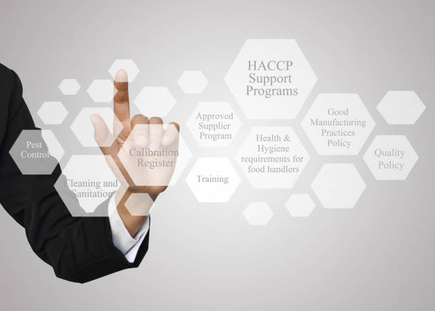 businesswoman with presentation element of haccp support programs concept for use in manufacturing - haccp imagens e fotografias de stock