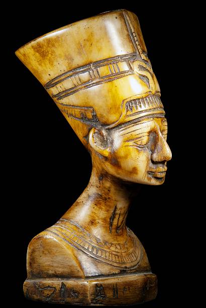 bust of Queen Nefertiti on black background  hot egyptian women stock pictures, royalty-free photos & images