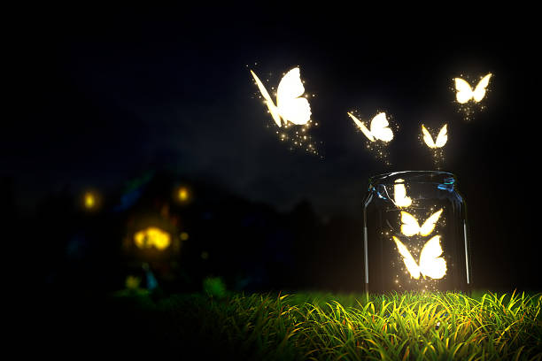 Butterflies stock photo