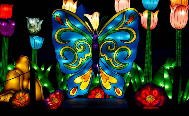 A Butterfly and Flower Display with lights stock photo