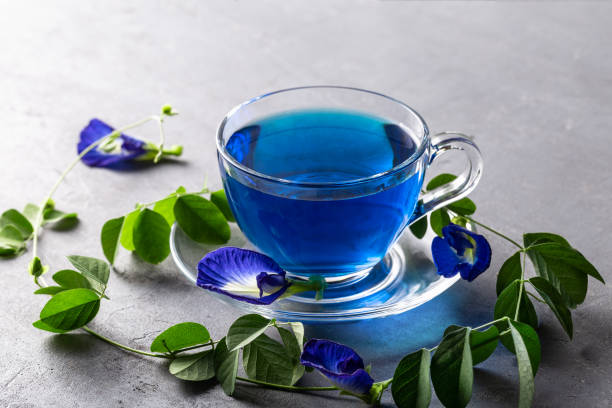 Butterfly pea blue pea flower herbal tea in a glass cup on grey concrete background. stock photo