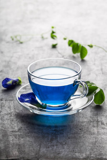 Butterfly pea blue pea flower herbal tea in a glass cup on grey concrete background. stock photo