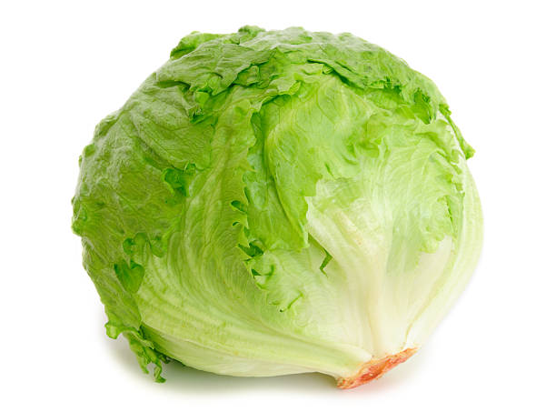 Cabbage lettuce  lettuce stock pictures, royalty-free photos & images