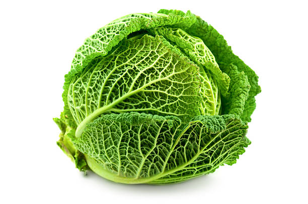 cabbage - wirsing zubereiten stock-fotos und bilder