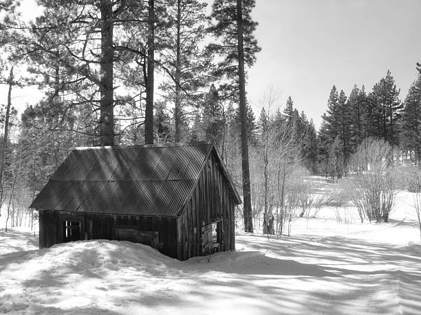 Cabin in the Snow stock photo