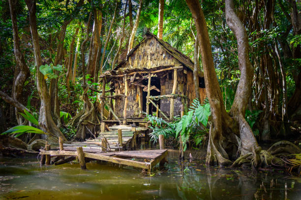 Cabin in tropical rainforest stock photo