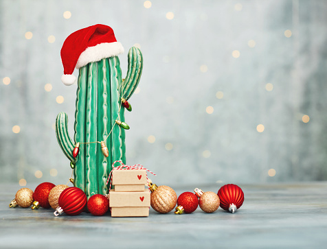 Cactus wearing Santa hat and Christmas light with red and gold Christmas ornaments and gift stack