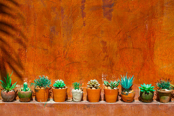 cactus with red wall green plastic cactus with red wall arizona photos stock pictures, royalty-free photos & images