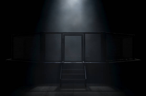 MMA Cage Door Spotlight A spotlighting highlighting the door of a MMA fight cage arena dressed in black padding on a dark background - 3D render boxing ring stock pictures, royalty-free photos & images