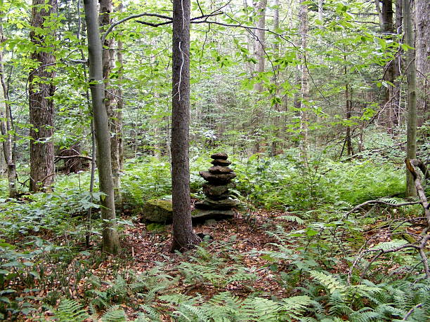 Cairn in woods stock photo
