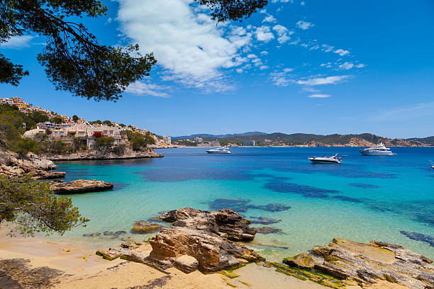 Cala Fornells View in Paguera, Majorca stock photo