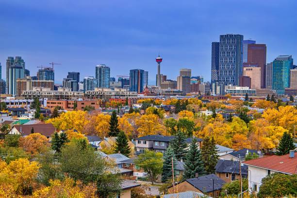 Calgary Skyline Behind Fall Trees A panoramic view of the downtown Calgary skyline behind fall foliage. calgary stock pictures, royalty-free photos & images