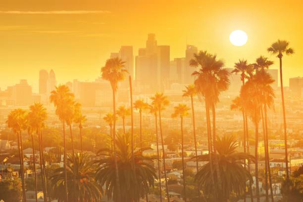 California California skyline during sunset los angeles stock pictures, royalty-free photos & images