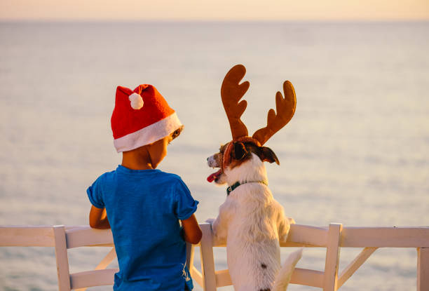 Calm and happy Christmas at seashore concept. Two friends in Christmas hats looking at seascape. Kid and dog at beach stock photo
