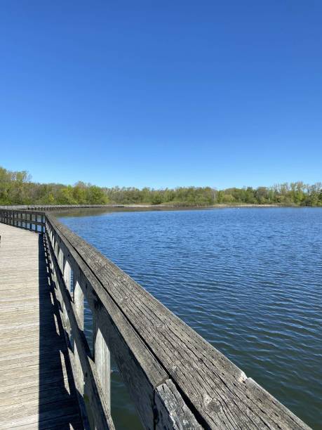 Calm Very Blue Lake View from Wooden Boardwalk in Michigan stock photo