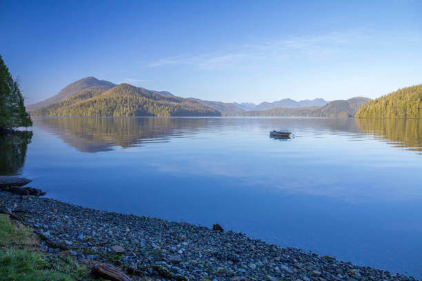 Calm waters of Grice Bay reflect Meares Island and boat stock photo