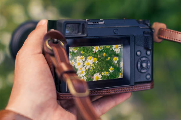 dslr kamera i hand skytte i händerna på en man. kameran visar blommor - fotografi bild bildbanksfoton och bilder