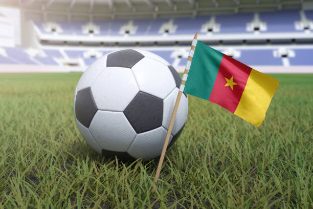 781 Cameroon Football Stock Photos, Pictures & Royalty-Free Images - iStock