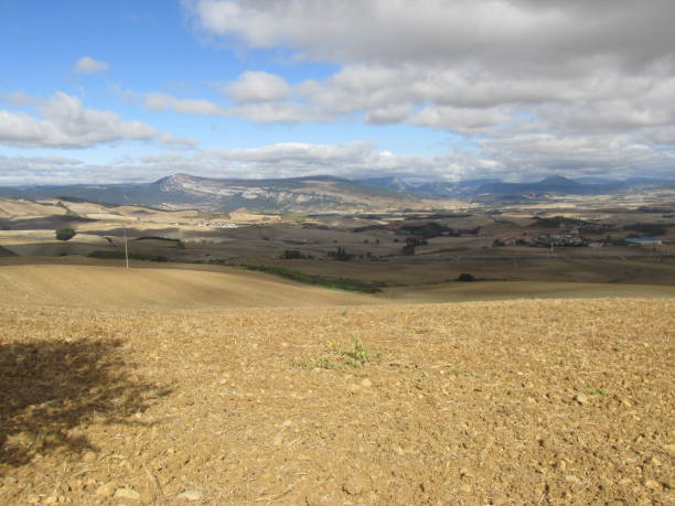 Camino de Santiago stock photo