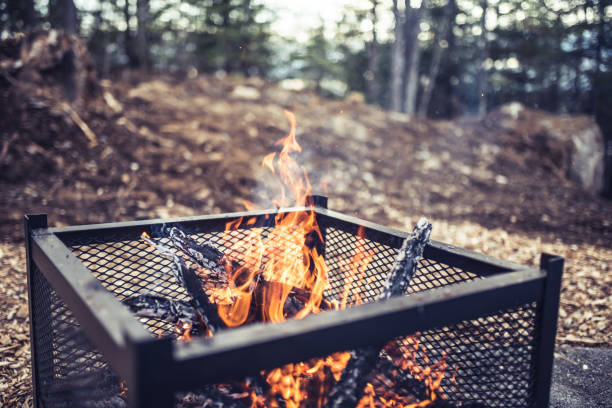 Campfire in the woods stock photo