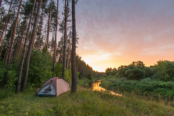 Camping, Russia, river, tent, nature stock photo