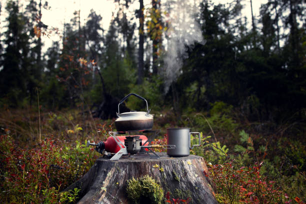 camping stove with a mug and a kettle on an old stump in the woods camping stove with a mug and a kettle on an old stump in the woods, on the cylinder safety instructions camping stove stock pictures, royalty-free photos & images