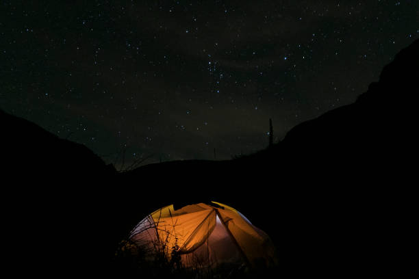 Camping Under the Stars Tent illuminated from within under a beautful night sky erik trampe stock pictures, royalty-free photos & images