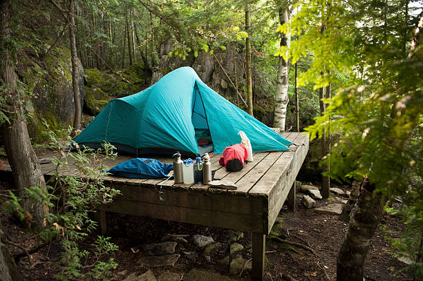 Campsite A wooden platform at a designated campsite along the Bruce Trail in Ontario helps to minimize the environmental impact campers have on the wilderness. bruce peninsula national park stock pictures, royalty-free photos & images