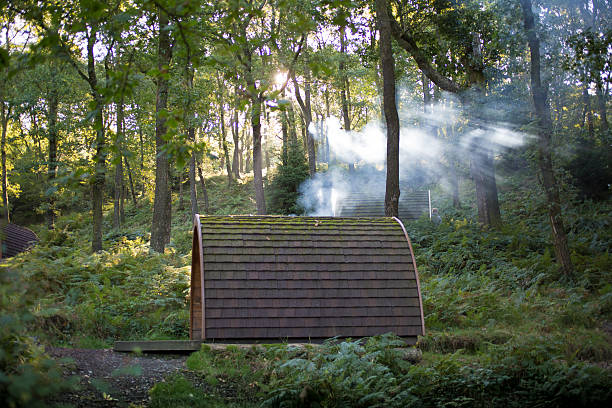 Campsite Pod in the Lake District Glamping in a Pod under the rays of God in the Lake District plant pod stock pictures, royalty-free photos & images