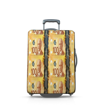 Canadian Dollars Lined Suitcase