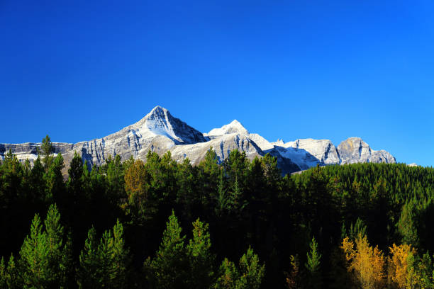 Canadian Rocky Mountains stock photo