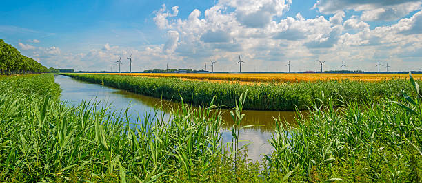 Canal through sunny farmland in summer Canal through sunny farmland in summer flevoland stock pictures, royalty-free photos & images