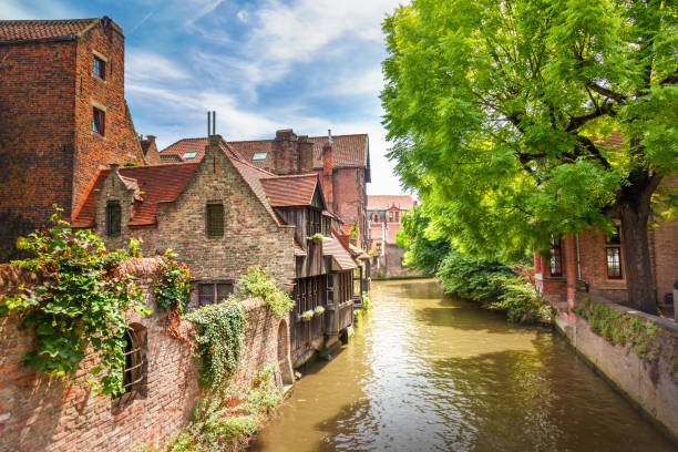 Canals of Brugge, Belgium  brugge, belgium stock pictures, royalty-free photos & images