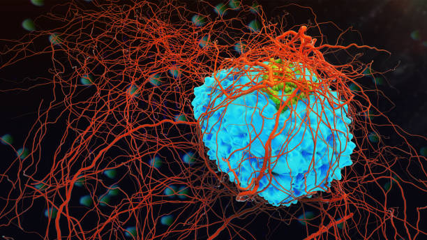 Cancer cell Human cancer cell.3d rendering immunology stock pictures, royalty-free photos & images