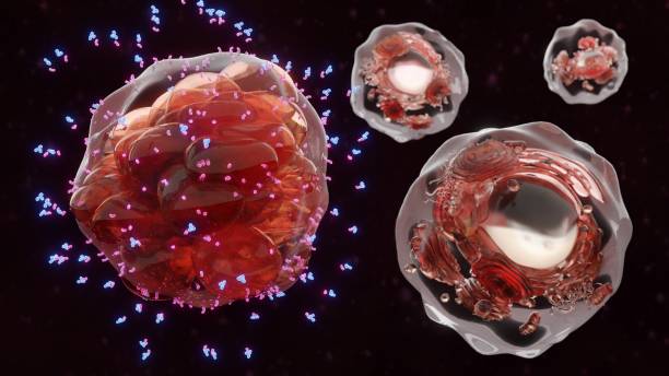 Cancer cell surrounded by therapeutic antibodies and cytokines among normal cells stock photo