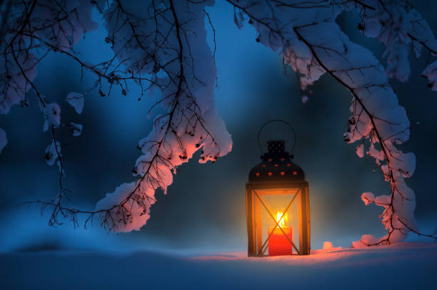 Candle lantern under the snowy branches at dusk. Christmas time in a wintery garden. stock photo