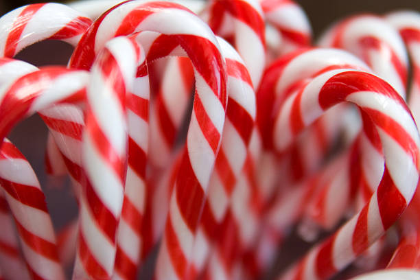 Candy Canes stock photo