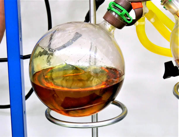 cannabinoid marijuana cannabis oil extraction in lab stock photo