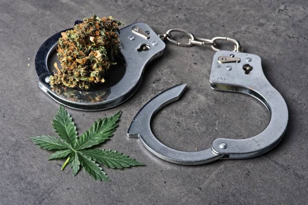 Cannabis bud and leaf with handcuffs stock photo