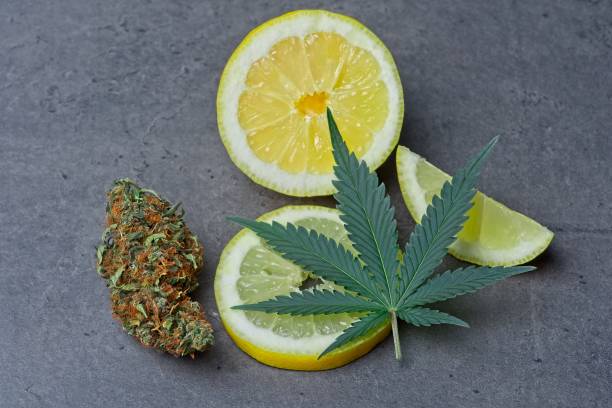 Cannabis bud and leaf with lemon stock photo