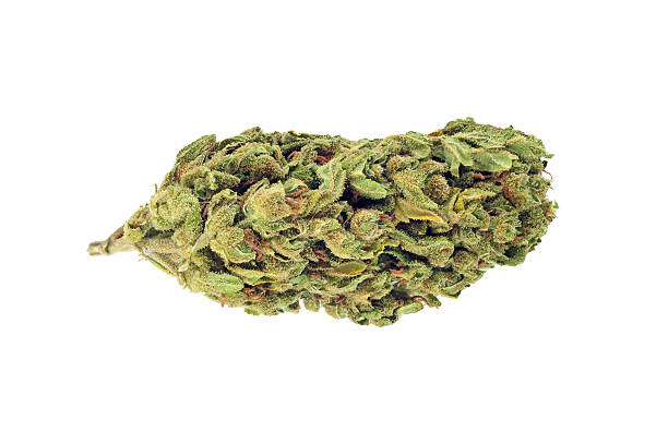 cannabis bud isolated on white - marihuana gedroogde cannabis stockfoto's en -beelden