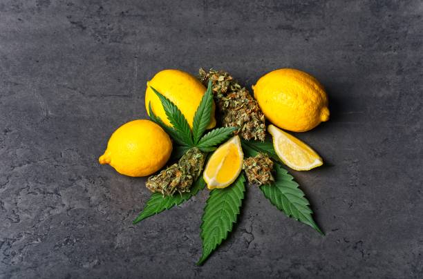 Cannabis buds and leaves with lemon stock photo