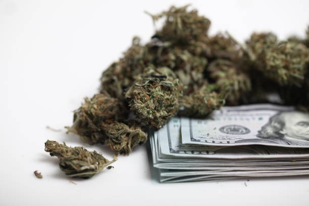 cannabis business concept stock photo