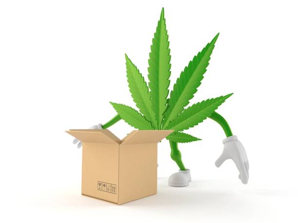 recreational marijuana delivery services denver colorado