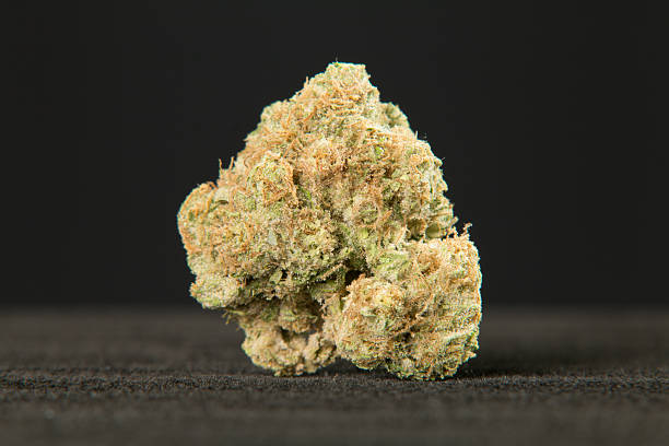 Cannabis Flower stock photo
