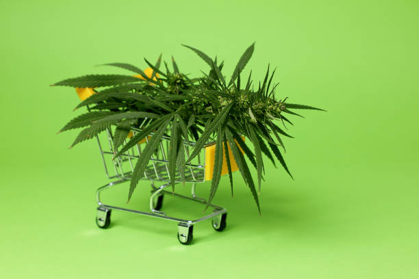 cannabis for sale . stock photo