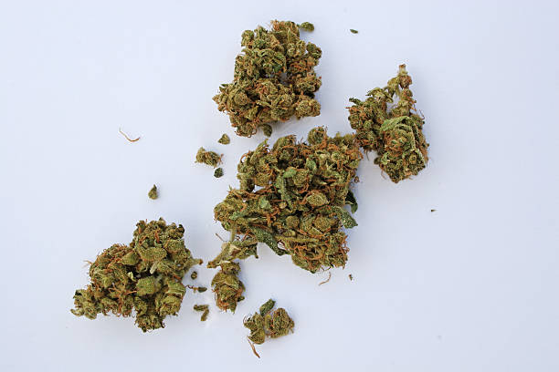cannabis - isolated - marihuana gedroogde cannabis stockfoto's en -beelden