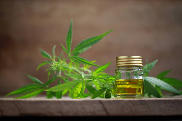 cannabis leaf and a bottle of hemp oil on a wooden table picture - 5 Uses For